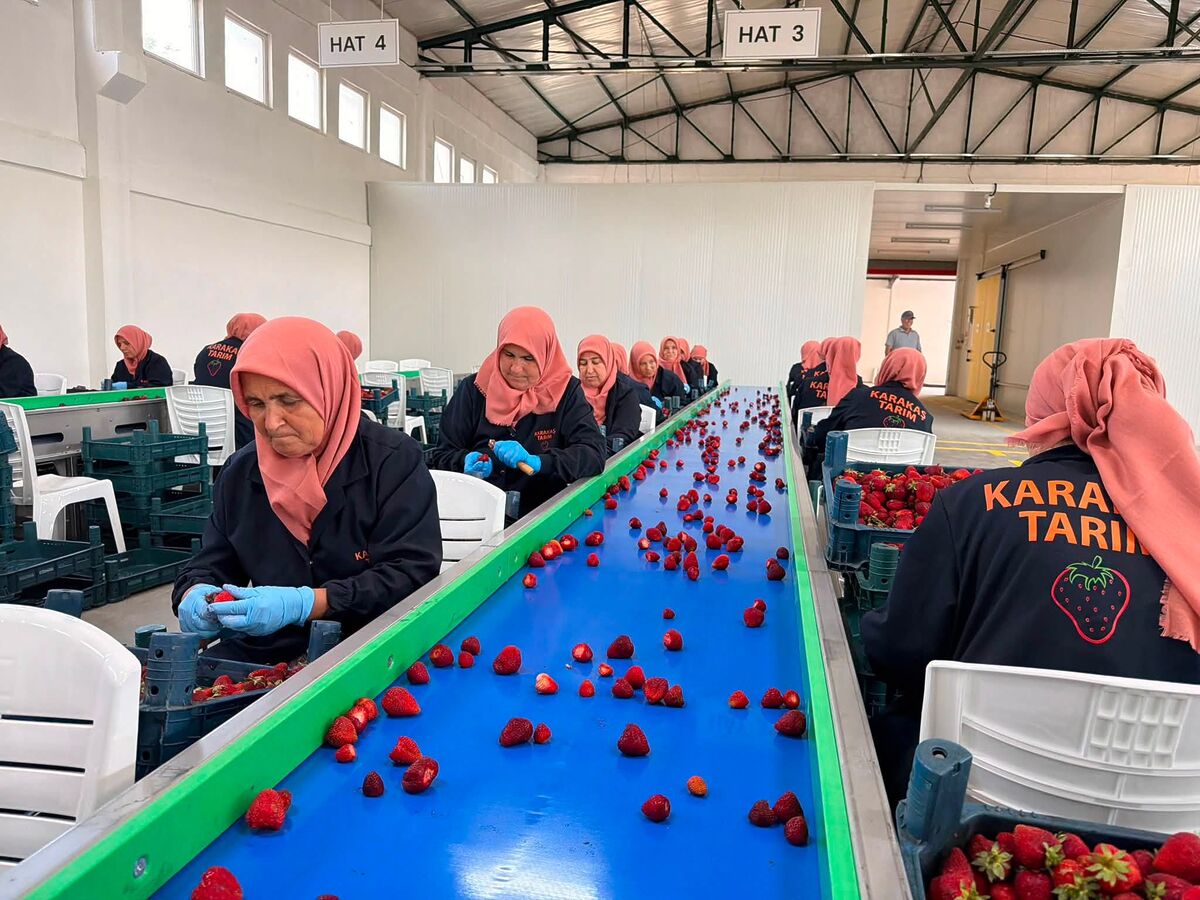 İvrindi Belediyesi öncülüğünde Kayapa Mahallesi'nde hayata geçirilen ve yaklaşık 300