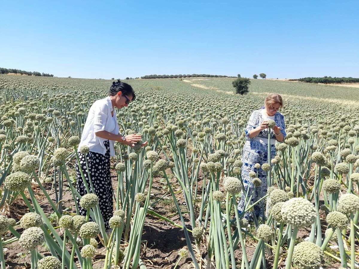 Balıkesir İl Tarım ve Orman Müdürlüğü ekipleri, bitkisel üretimin güvenli,
