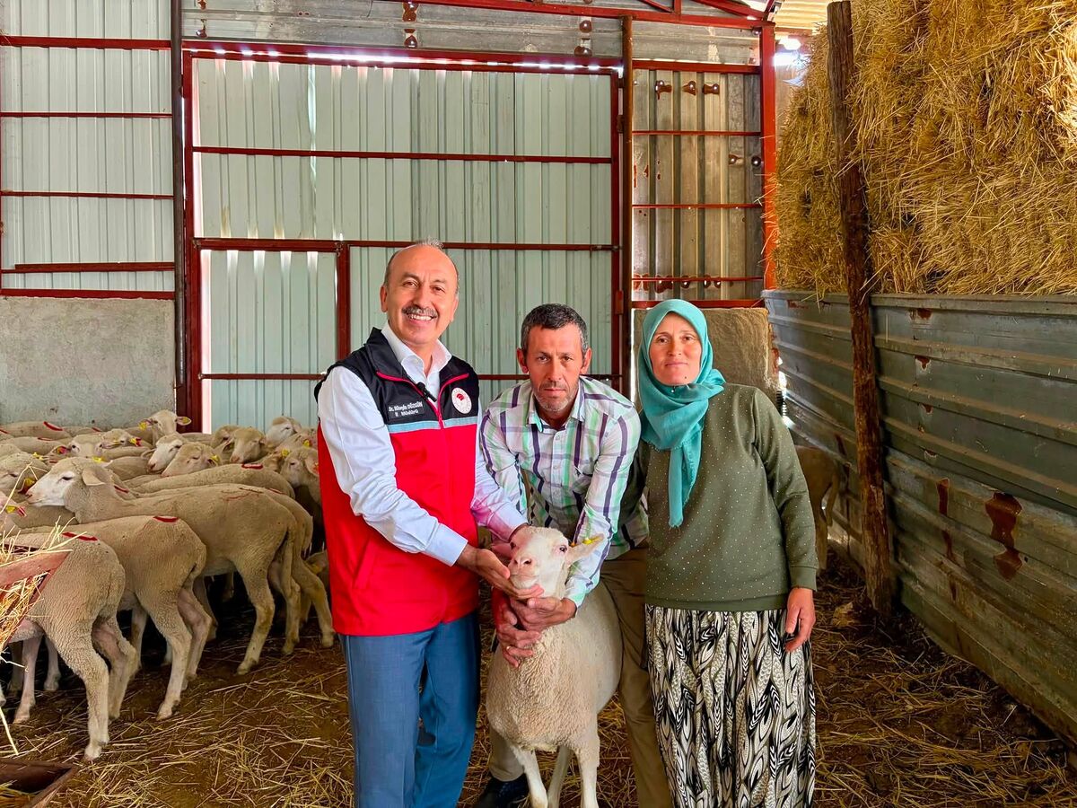 Kadın Üreticiye 100 Küçükbaş Hayvan Desteği 752786723 1451298580374333 6127647287191487071 n - Marmara Bölge Gazetesi