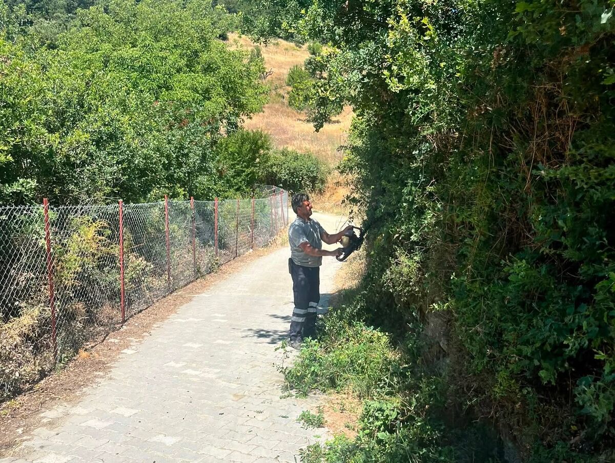 Balıkesir, Bakıma Alındı! 752838549 18551958388079512 1511654457495055741 n - Marmara Bölge Gazetesi