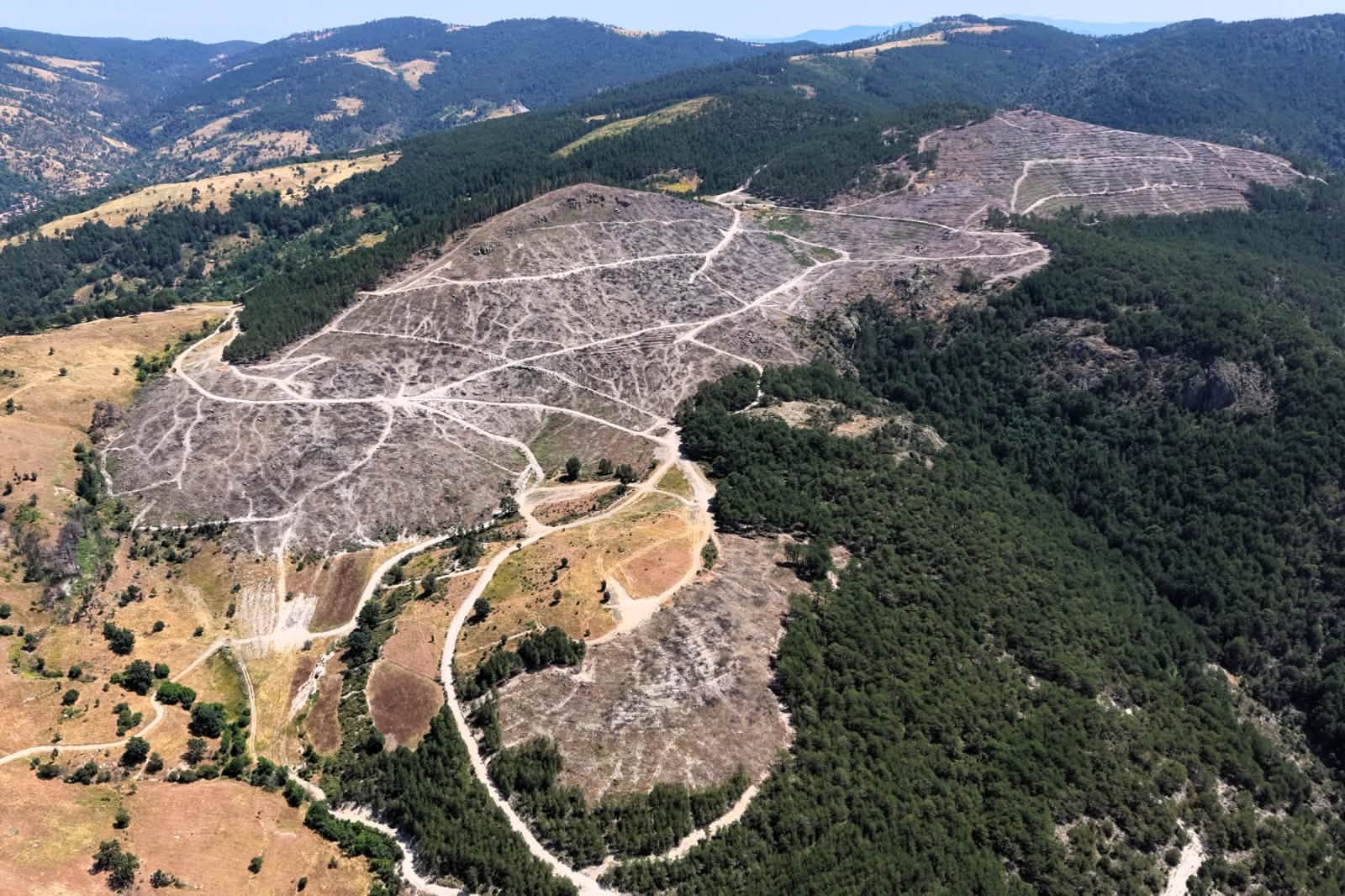 Balıkesir’in Sındırgı ilçesinde 2025 yılında çıkan orman yangınında zarar gören
