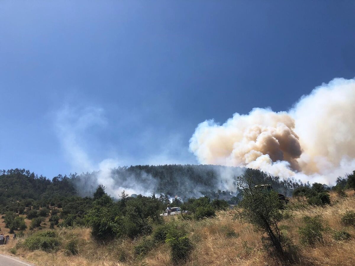 Balıkesir'de Korkutan Yangın! Arazi Alevleri Ormana Sıçradı AW740218 03 - Marmara Bölge Gazetesi