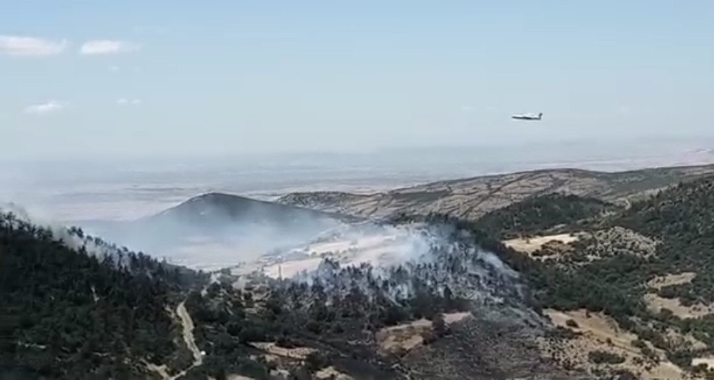 Balıkesir’de 3 Noktada Aynı Anda Yangın! AW740291 02 - Marmara Bölge Gazetesi