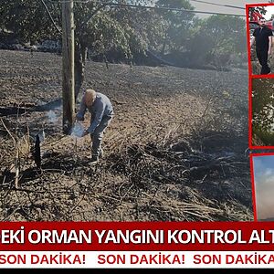 Balıkesir'in Altıeylül ilçesine bağlı kırsal Bereketli Mahallesi yakınlarında dün orman