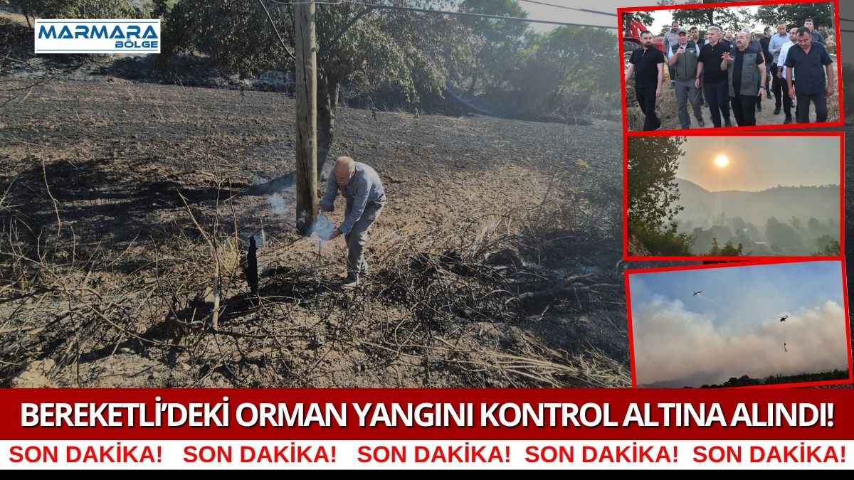 Balıkesir'in Altıeylül ilçesine bağlı kırsal Bereketli Mahallesi yakınlarında dün orman