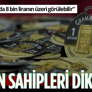 Altın ve Para Piyasaları Uzmanı İslam Memiş, A Para canlı