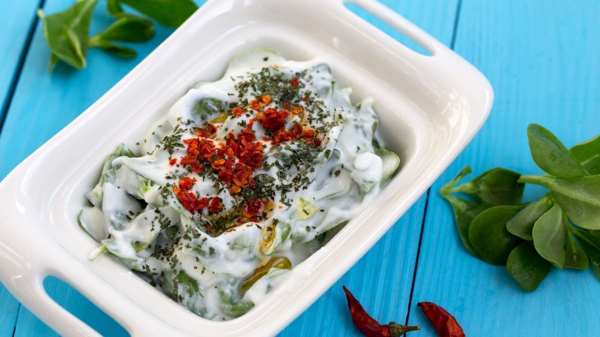 SALATA 8 - Marmara Bölge Gazetesi
