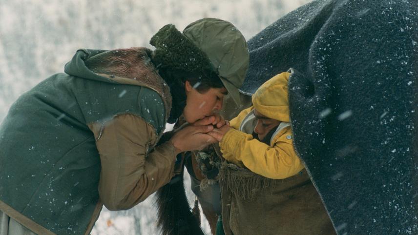 İran Sinemasında Mutlaka İzlenmesi Gereken 10 Film! Sarhos Atlar Zamani A Time for Drunken Horses 2000 - Marmara Bölge Gazetesi