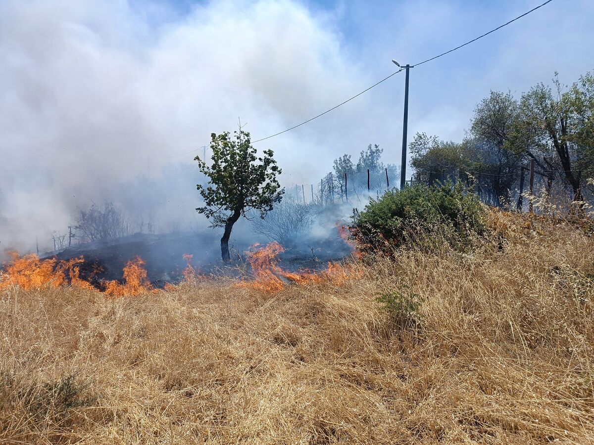 Balıkesir’in Havran ilçesinde otluk alanda çıkan yangın, rüzgârın etkisiyle zeytin