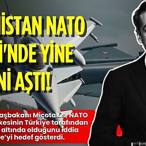 Ankara'da düzenlenen NATO Devlet ve Hükümet Başkanları Zirvesi'nde konuşan Yunanistan