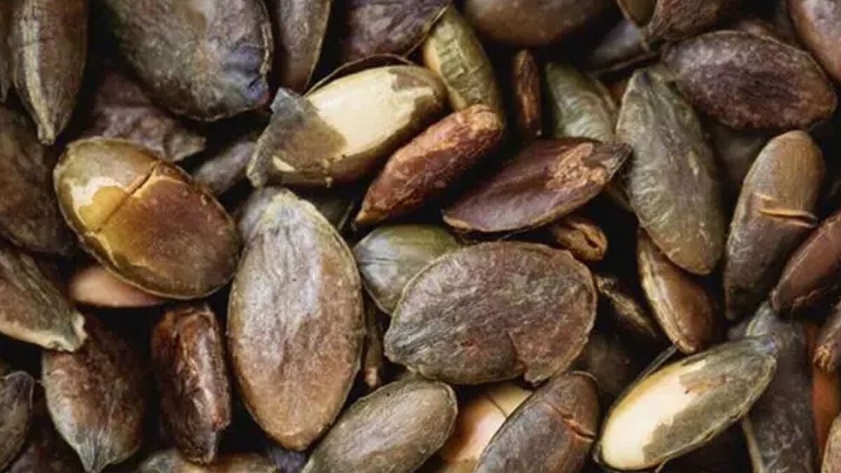 Kas Ağrısını Dindiren 10 Yöntem agri kesicileri unutun kas agrisini sip diye kesiyor bu 5 yontem hayat kurtariyor oneriler h1755120042 697ace - Marmara Bölge Gazetesi