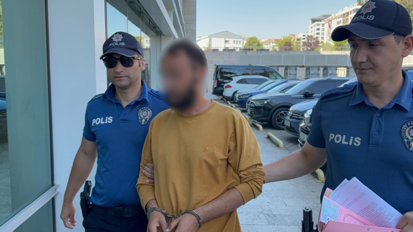 Kediye Acımadan Tekme Attı aw747839 02 - Marmara Bölge Gazetesi