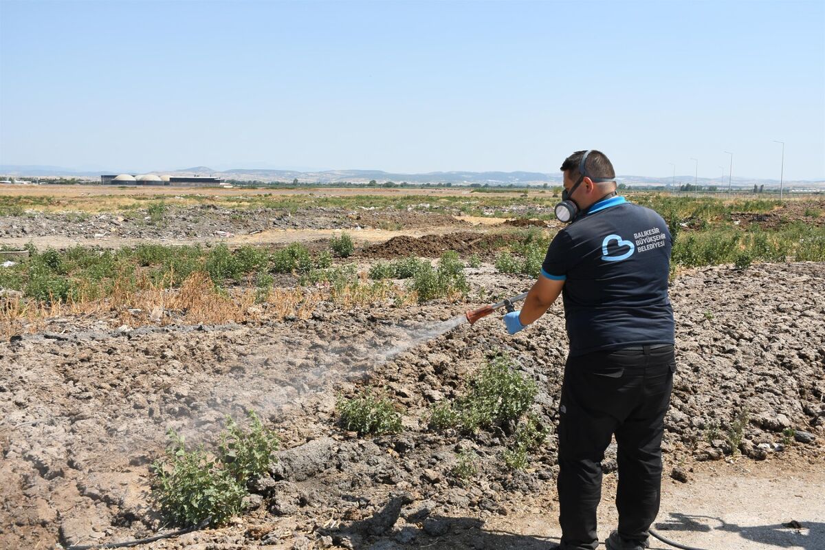 Balıkesir’de Sivrisinek Krizi! c1ca4ad6 e076 445e b800 746395e1e37e - Marmara Bölge Gazetesi