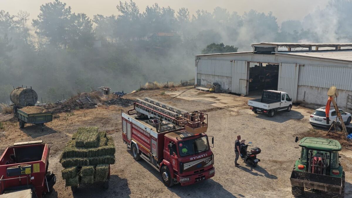 SON DAKİKA: Balıkesir’deki Yangınlara Müdahale Sürüyor e55afb9e df61 4ded b33b 4c024026276c - Marmara Bölge Gazetesi
