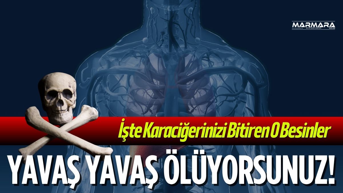 Karaciğer, vücudun en önemli organlarından biri olarak toksinlerin temizlenmesi, besinlerin
