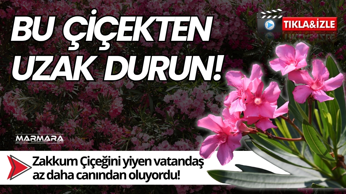 Aydın'ın Bozdoğan ilçesinde zakkum çiçeğini tadını merak ettiği için yiyen