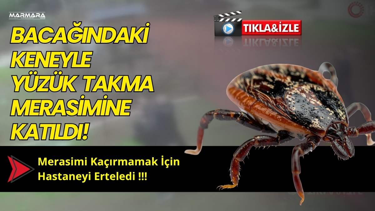 Tokat’ın Turhal ilçesinde yaşanan olay, görenleri hem şaşırttı hem de