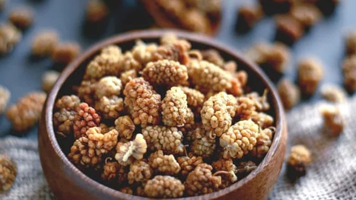 Beyaz dut kurusu, son dönemlerde vücuttaki iltihabı azalttığı ve kandaki
