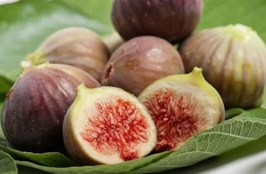 Yaz aylarının sevilen meyvelerinden incir, içerdiği lif, mineral ve doğal