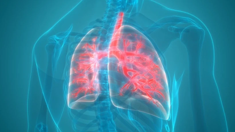 Kereviz sapı ve yaprakları; vitamin, mineral ve antioksidan bileşenleriyle dengeli