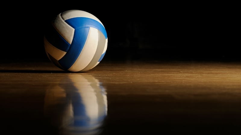 A Milli Kadın Voleybol Takımı, 2026 CEV Trendyol Kadınlar Avrupa