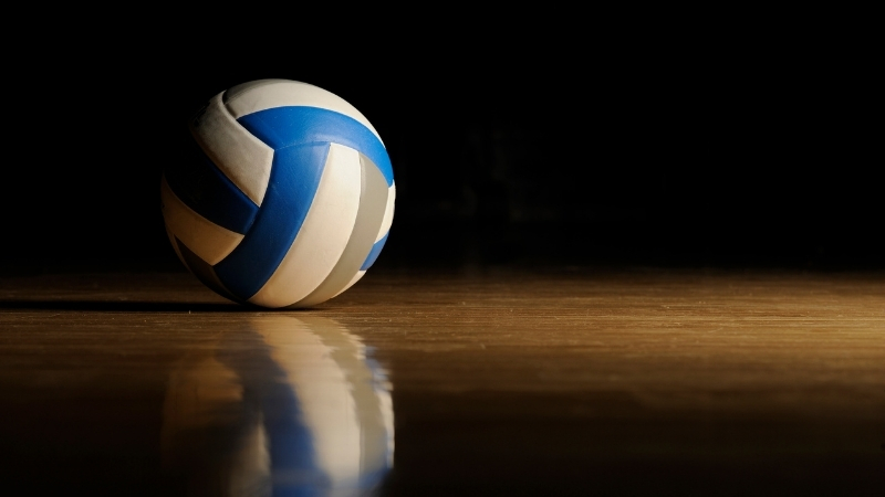 A Milli Kadın Voleybol Takımı, Trendyol 2026 CEV Avrupa Şampiyonası’nda