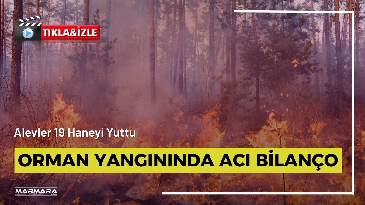 Adana'nın Aladağ ilçesine sıçrayan orman yangınında Dailer Mahallesi'nde 19 hane